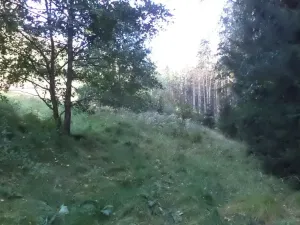 Prodej pole, Roztoky u Semil, 496 m2