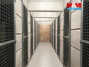 Pronájem bytu 1+kk, Praha - Vršovice, Petrohradská, 30 m2