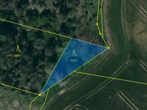 Prodej lesa, Slavičky - Pozďátky, 560 m2