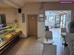 Pronájem komerční nemovitosti, Bučovice, Slavkovská, 101 m2
