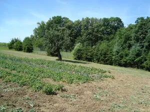 Prodej rodinného domu, Diváky, 280 m2
