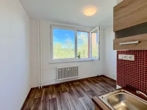 Pronájem bytu 1+1, Brno, Palackého třída, 39 m2