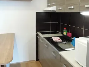 Pronájem pokoje, Brno, Běloruská, 17 m2