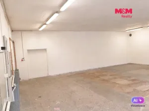Pronájem komerční nemovitosti, Běstovice, 113 m2