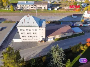 Prodej výrobních prostor, Polička - Dolní Předměstí, P. Jilemnického, 660 m2
