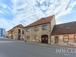Prodej obchodního prostoru, Třebíč, Bedřicha Václavka, 250 m2