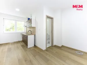 Pronájem bytu 1+kk, Velim, třída Krále Jiřího, 20 m2