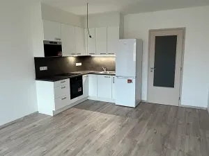 Pronájem bytu 1+kk, Písek, Pražská, 38 m2