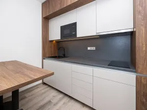Pronájem bytu 2+kk, Praha - Michle, Na úlehli, 48 m2