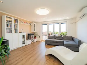 Prodej bytu 2+1, Nová Ves pod Pleší, 93 m2