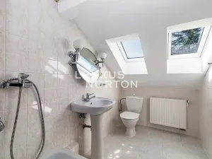 Pronájem rodinného domu, Praha - Řepy, Doubravínova, 480 m2
