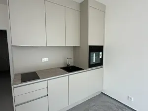 Pronájem bytu 1+kk, Praha - Vysočany, Gerstelova, 43 m2