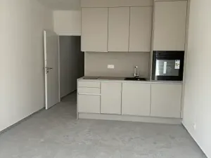 Pronájem bytu 1+kk, Praha - Vysočany, Gerstelova, 43 m2