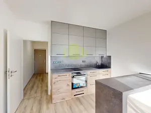 Pronájem bytu 1+kk, Olomouc, Frištenského, 32 m2