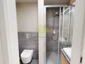 Pronájem bytu 1+kk, Olomouc, Frištenského, 32 m2