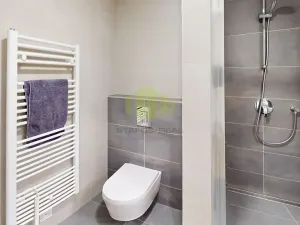 Pronájem bytu 1+kk, Olomouc, Frištenského, 32 m2