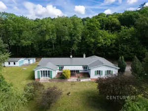 Prodej vícegeneračního domu, Lom, Podkrušnohorská, 273 m2