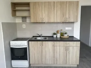 Pronájem bytu 1+1, Litvínov, U Bílého sloupu, 40 m2