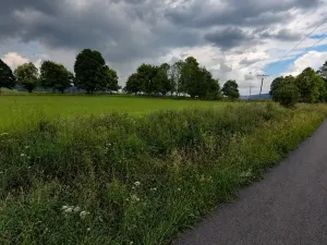 Prodej pozemku, Volary, Soumarská, 8002 m2