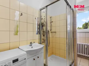 Prodej rodinného domu, Rádlo, 490 m2