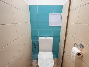 Pronájem bytu 2+1, Ostrov, S. K. Neumanna, 56 m2