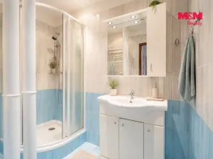Prodej bytu 2+1, České Budějovice - České Budějovice 7, Grünwaldova, 50 m2