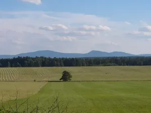 Prodej chalupy, Suchdol nad Lužnicí, 308 m2