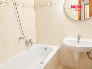 Pronájem bytu 1+kk, Praha - Podolí, Dvorecká, 50 m2