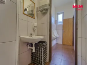 Pronájem obchodního prostoru, Plzeň - Lobzy, Petřínská, 88 m2