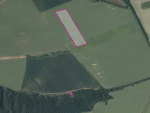 Prodej podílu pole, Nesuchyně, 8973 m2