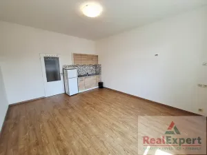 Pronájem bytu 1+kk, Praha - Žižkov, Jeseniova, 25 m2