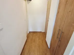 Pronájem bytu 1+kk, Praha - Žižkov, Jeseniova, 25 m2