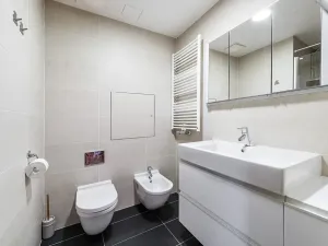Prodej bytu 3+kk, Praha - Žižkov, Pitterova, 87 m2