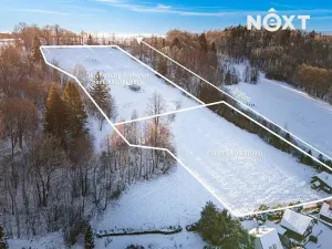 Prodej komerčního pozemku, Paseka, 5609 m2