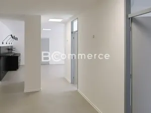 Pronájem kanceláře, Brno, Dominikánské náměstí, 380 m2