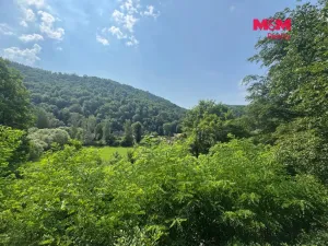 Prodej chaty, Nezabudice, 60 m2