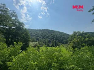 Prodej chaty, Nezabudice, 60 m2