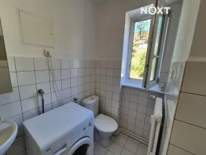 Pronájem bytu 2+1, Solenice, 51 m2