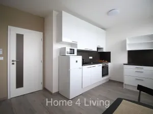 Pronájem bytu 1+kk, Brno, Nad Přehradou, 25 m2