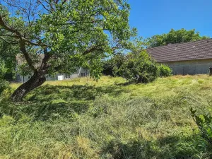 Prodej rodinného domu, Březová-Oleško, 298 m2