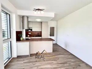 Pronájem bytu 2+kk, Brno, Líšeňská, 53 m2