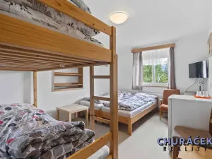 Prodej rodinného domu, Nová Pec, 280 m2