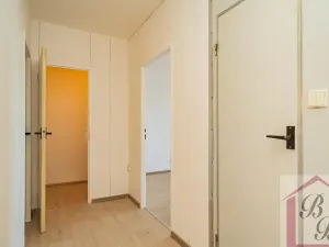 Prodej bytu 3+1, Benátky nad Jizerou, Platanová, 78 m2