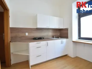 Pronájem bytu 1+kk, Praha - Břevnov, Na Petynce, 29 m2