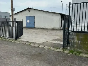 Pronájem komerčního pozemku, Holasice, 1300 m2