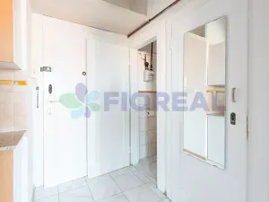 Pronájem bytu 1+1, Praha - Strašnice, Na hroudě, 31 m2