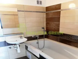 Prodej bytu 2+1, Veselí nad Lužnicí, Ak. Bydžovského, 60 m2