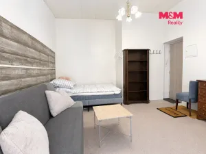 Pronájem bytu 1+kk, Plzeň - Jižní Předměstí, Klatovská třída, 23 m2