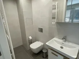 Pronájem bytu 3+kk, Praha - Řeporyje, Haenkeho, 80 m2