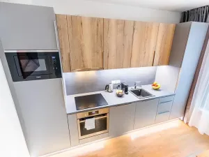 Pronájem bytu 1+kk, Praha - Žižkov, Seifertova, 29 m2